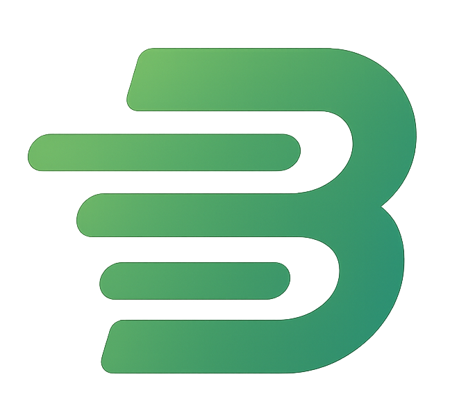 bsonic logo