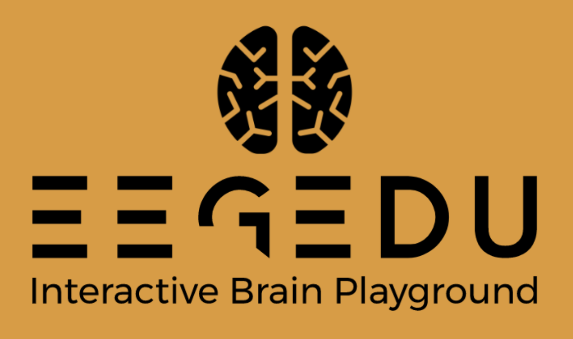 Interactive Brain Playground Logo