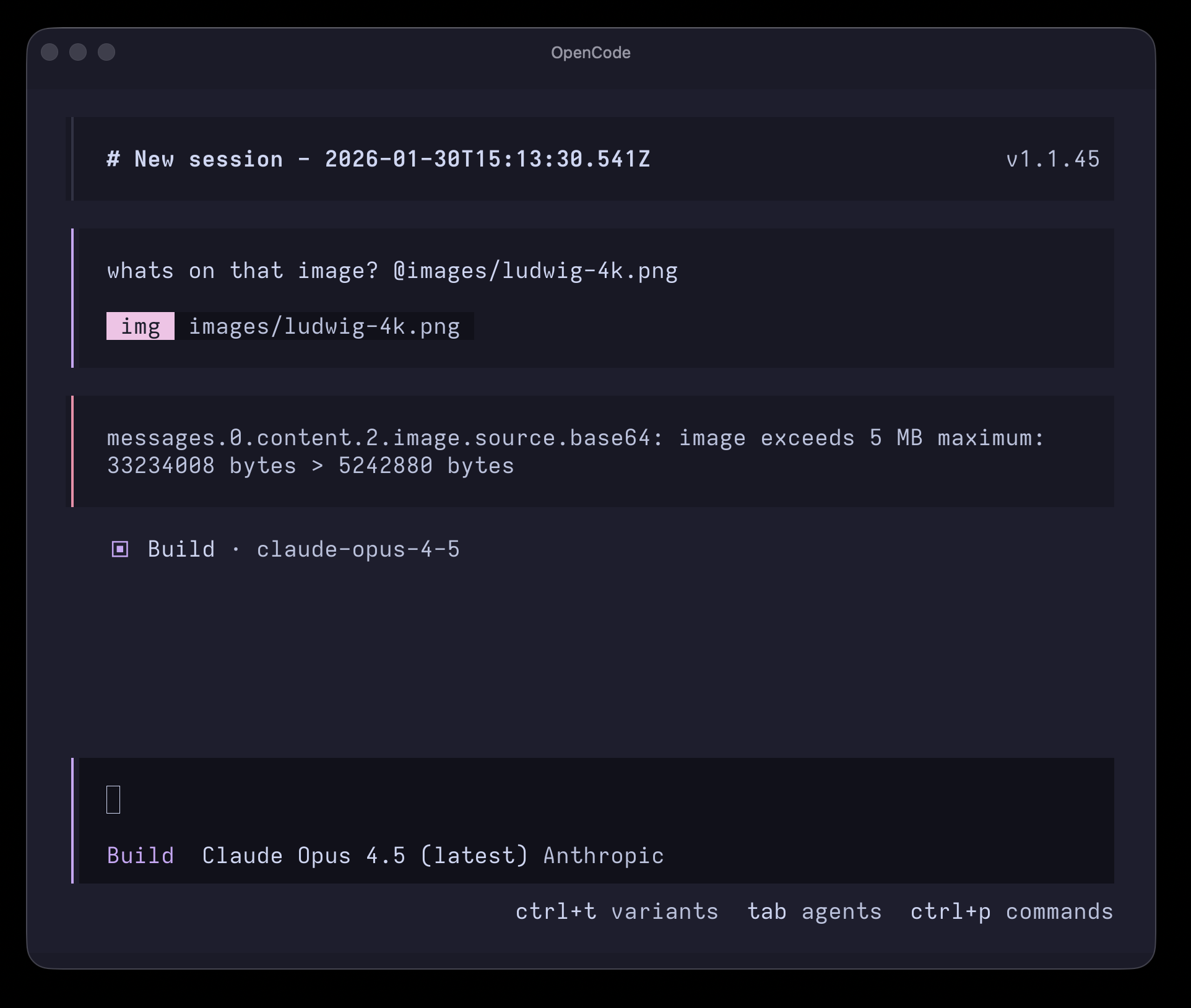 Without the plugin: "image exceeds 5 MB maximum" error when attaching a large image