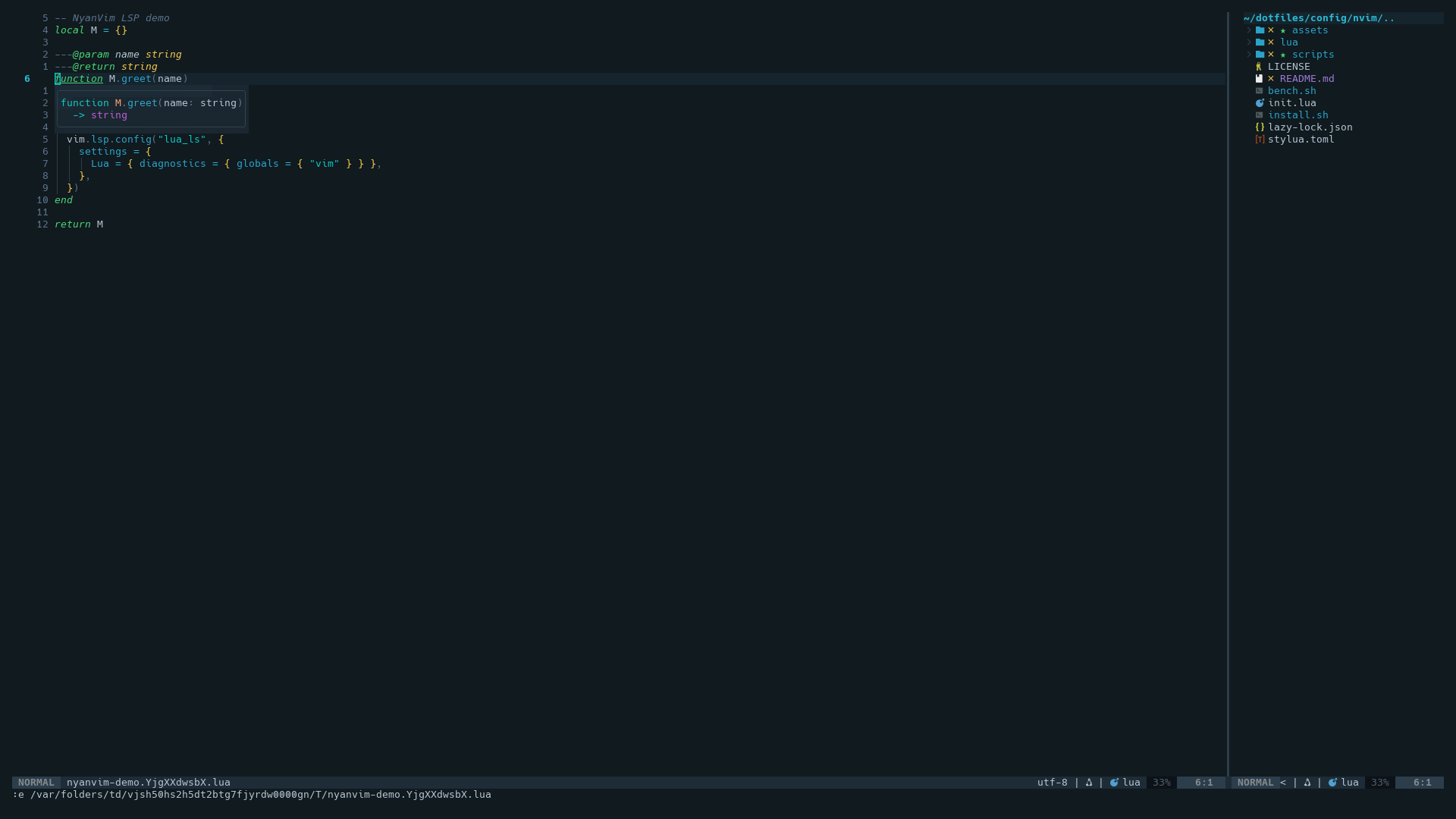 LSP hover documentation popup over a function