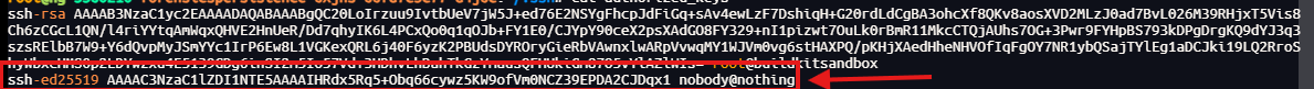 image-20260414205105405