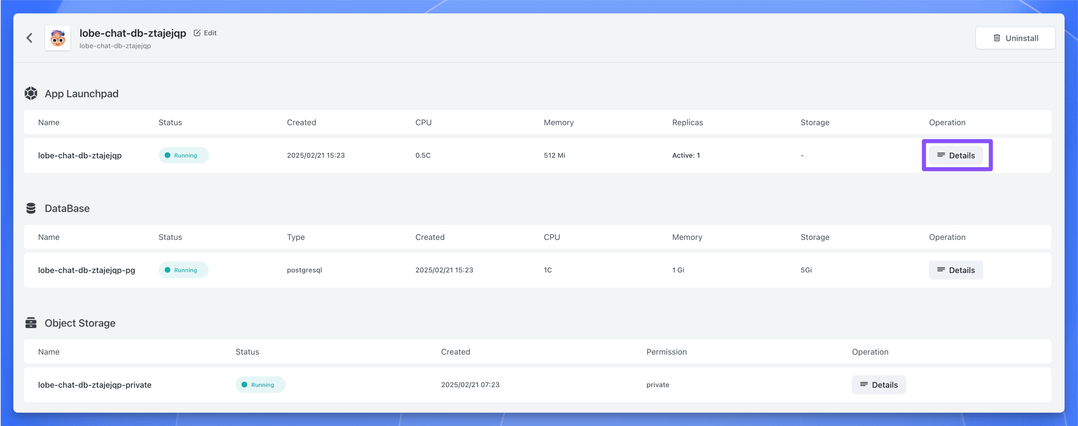 Lobe Chat database version deployment done page