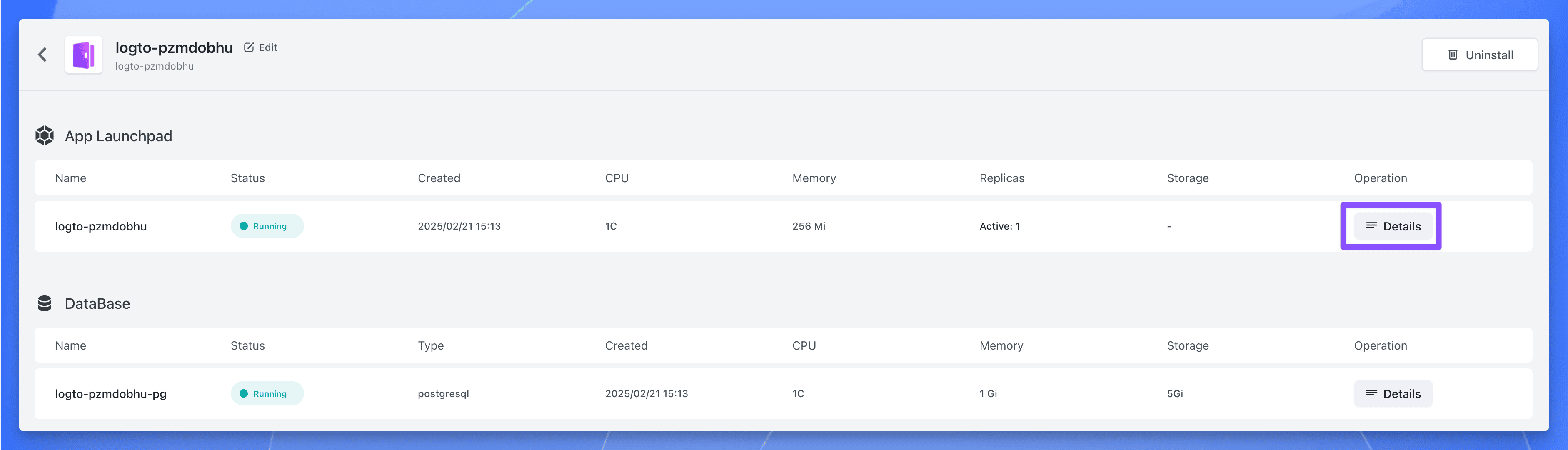 Logto application deployment status on Sealos