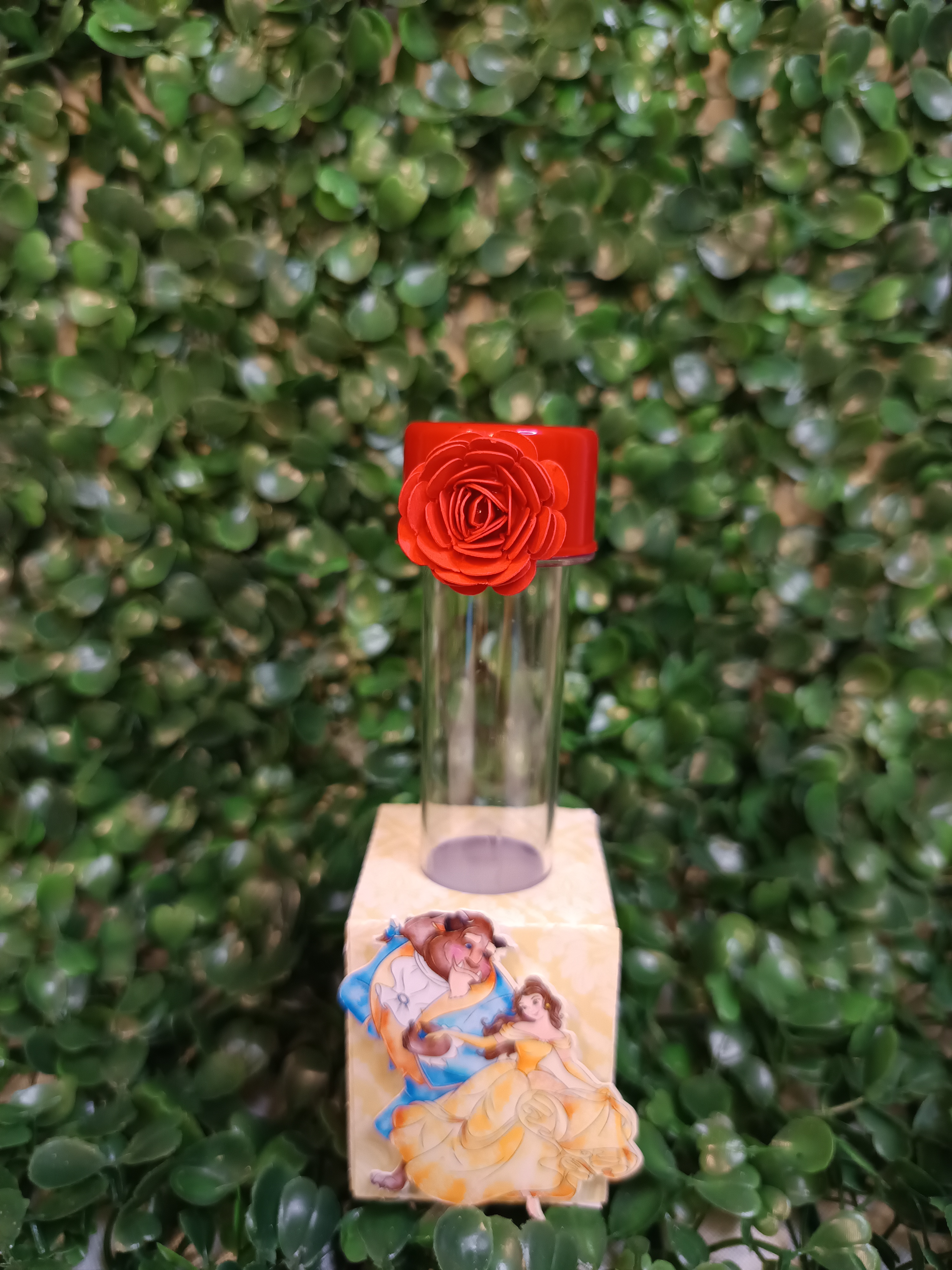 Caixa Tubete - A Bela e a Fera