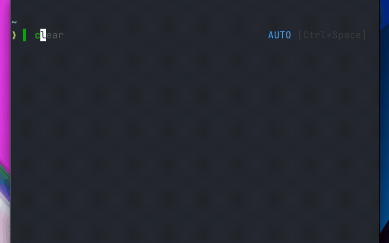 Lacy Shell demo — commands run in shell, questions go to AI