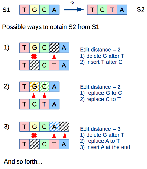 Description of the algorithm