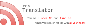 J316 Translator