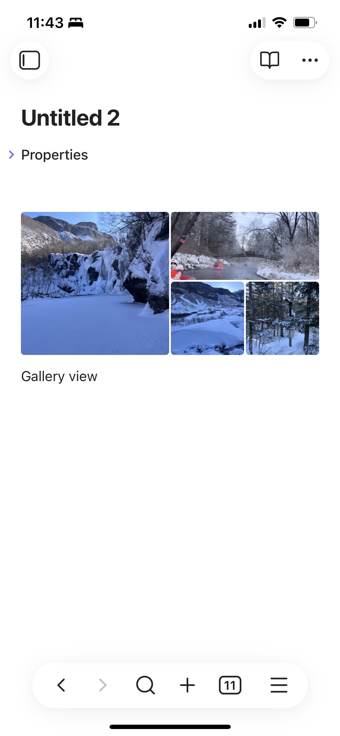 Editor Gallery