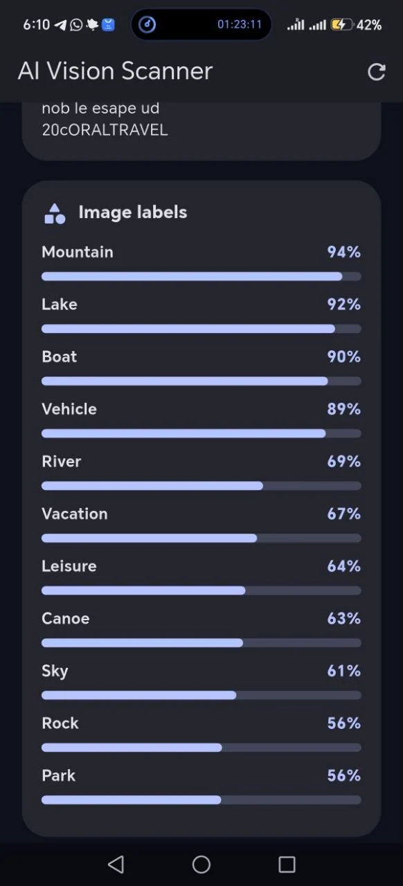 Image labeling confidence results