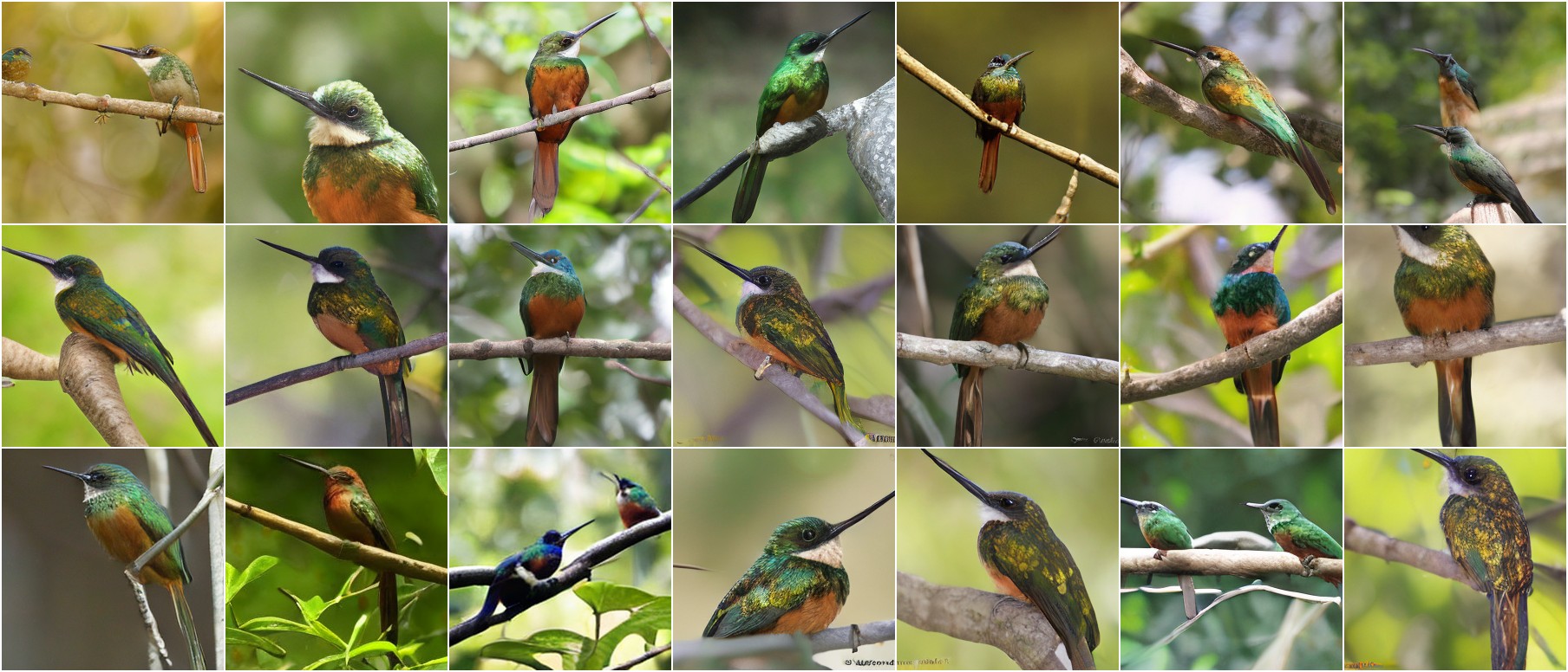 Jacamar