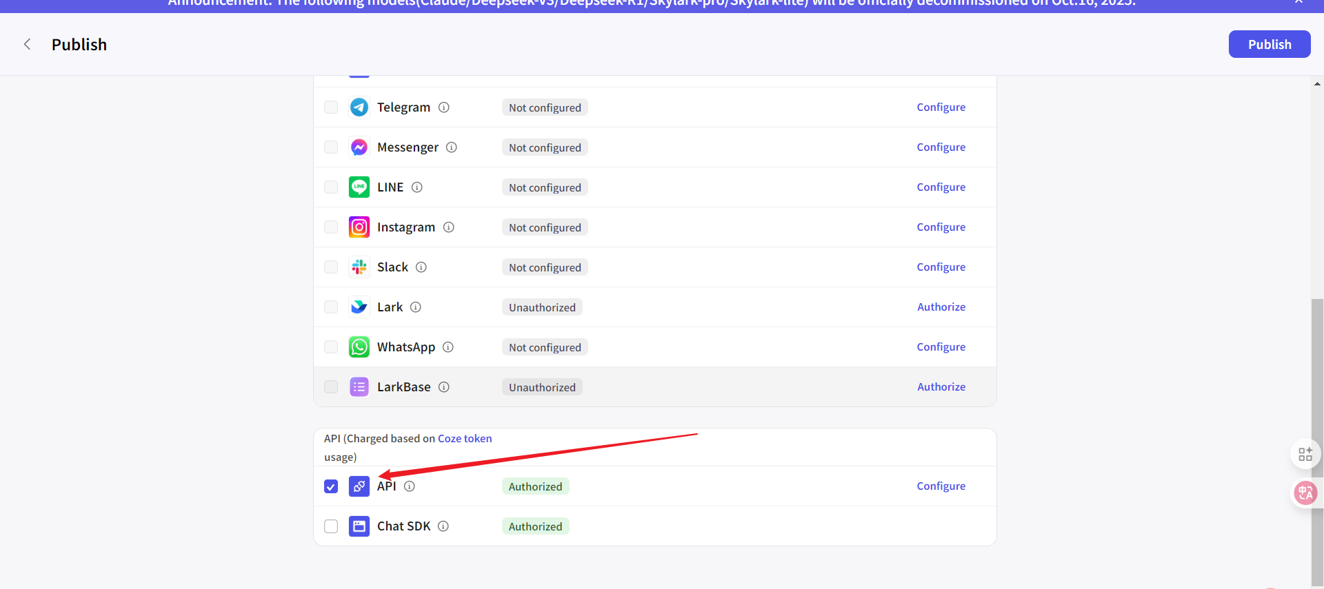 Coze Application API Key