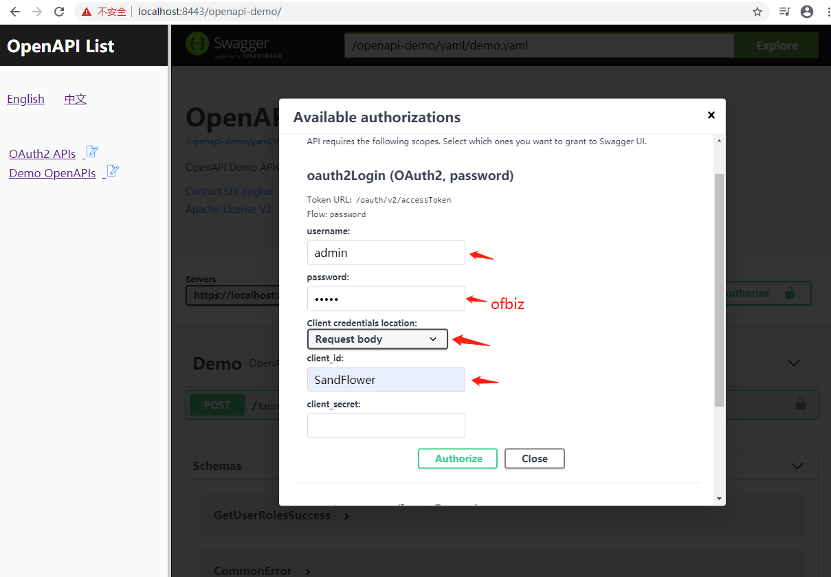 openapi demo oauth2login