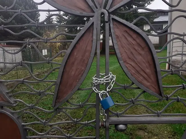 Rok 2020 – ilustrační