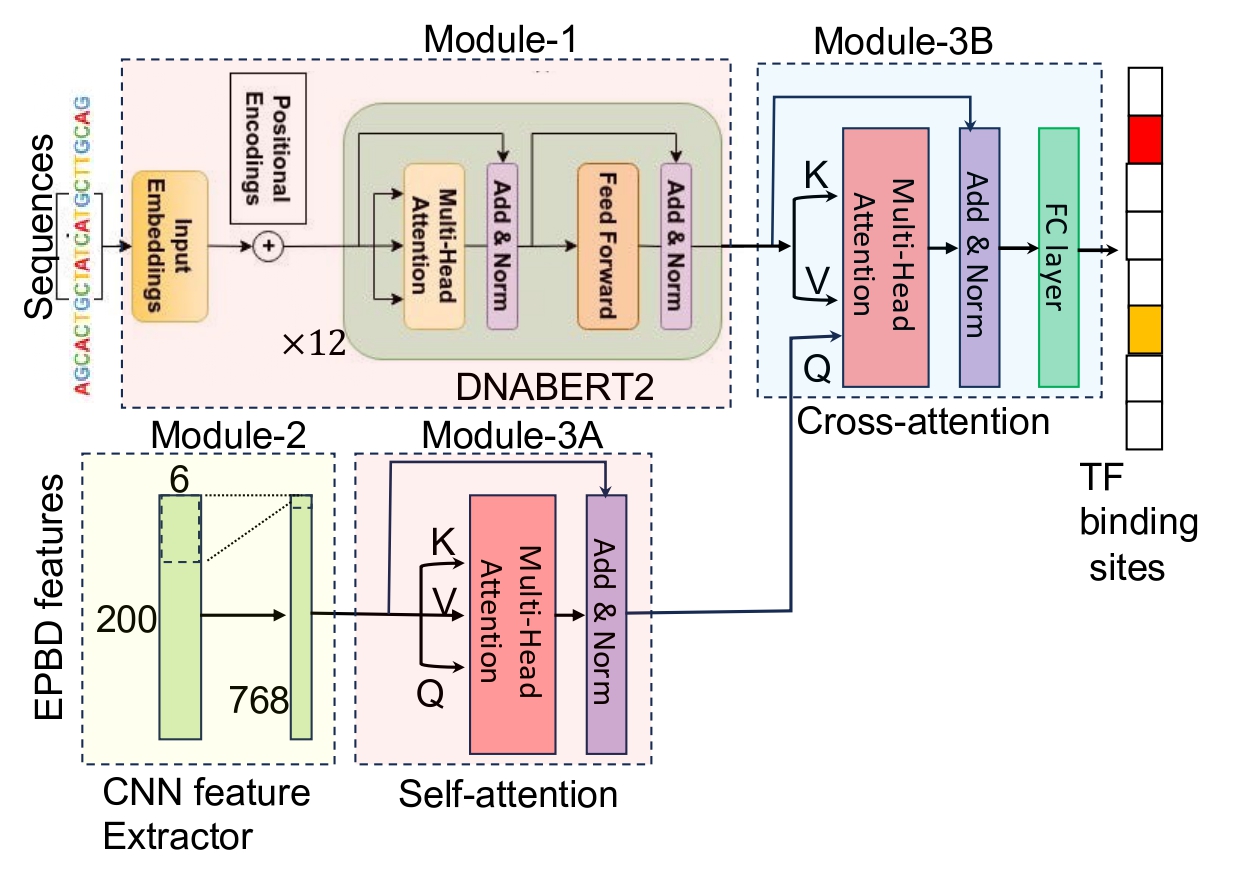 EPBDxBERT Framework