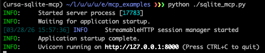 The SQLite MCP server running in a terminal