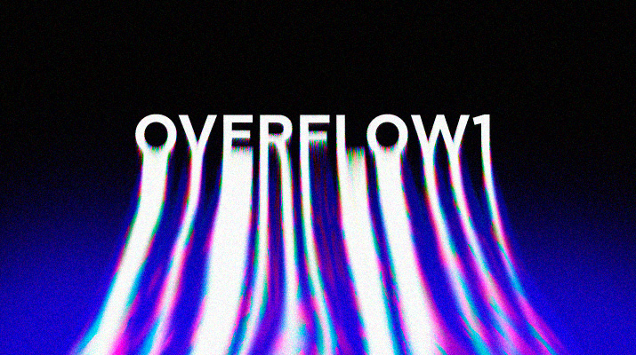 PicoCTF2019 - Overflow1