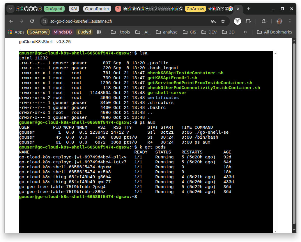 Image of the bash shell in your browser