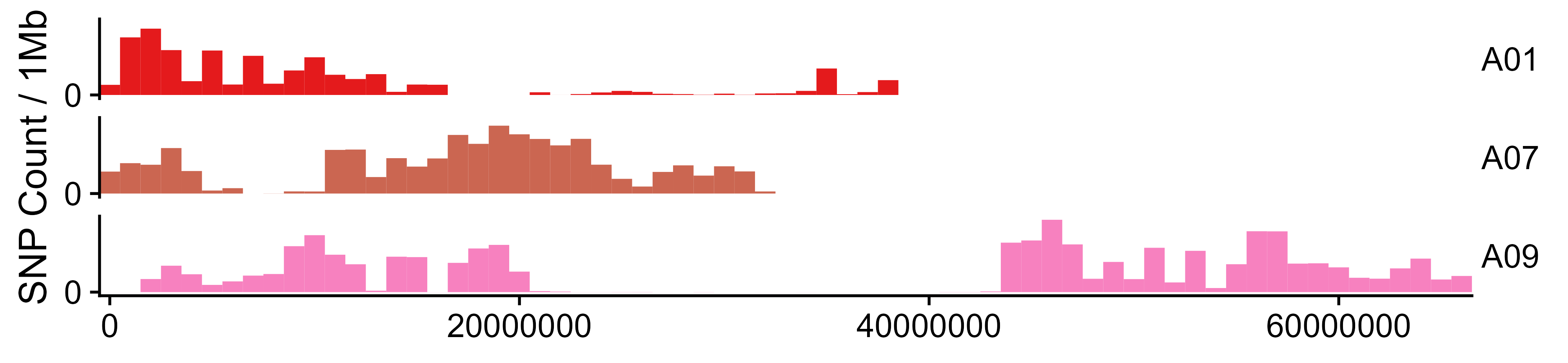 outprefix.SNP_distribution_histogram.png