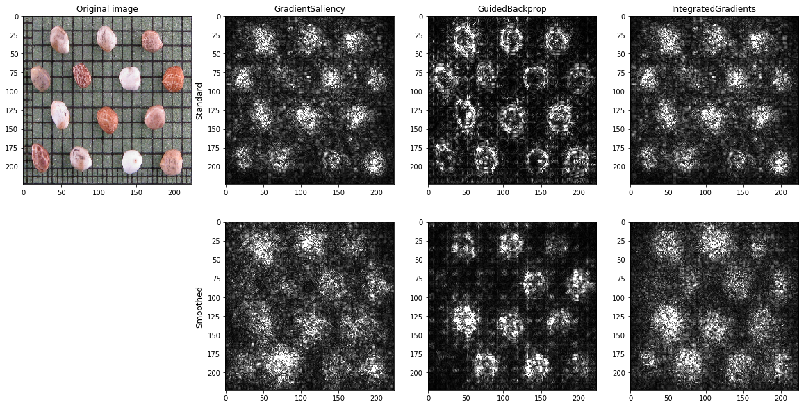 Saliency maps