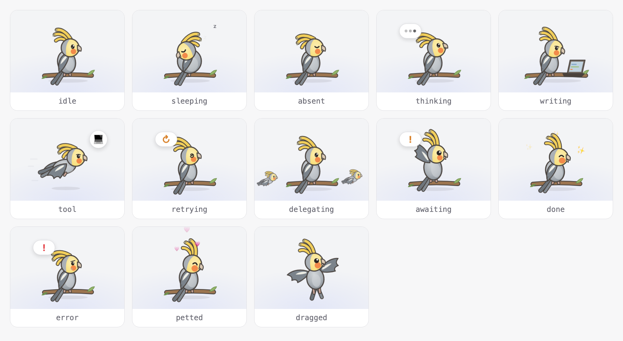 The cockatiel in all thirteen activities