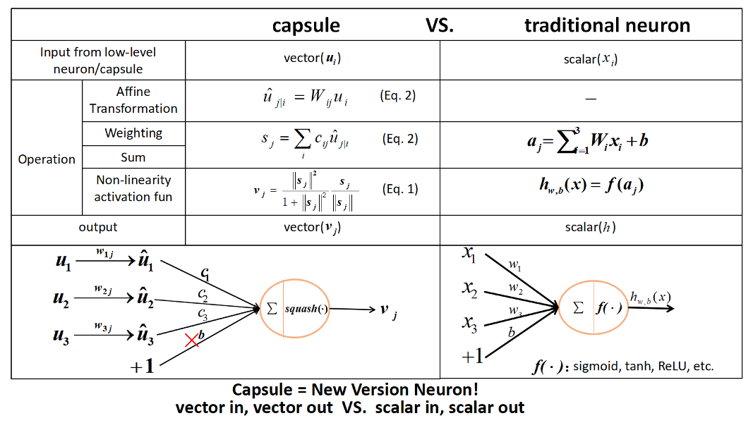 capsuleVSneuron