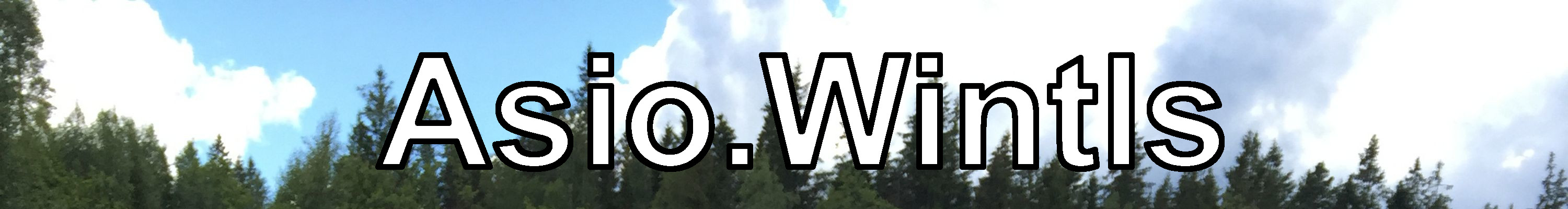 Asio.Wintls Logo