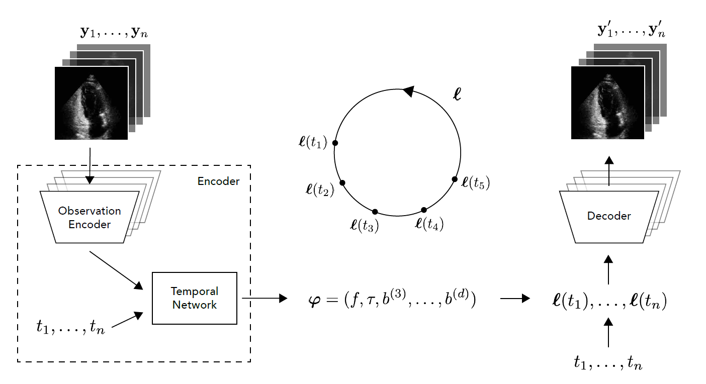 The deep heart beat model architecture