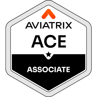 ACE Multicloud Network Associate