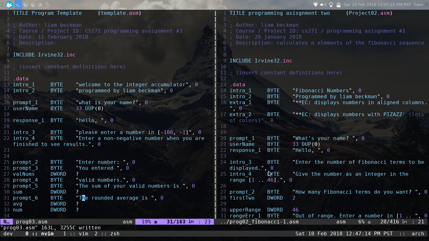 neovim + tmux