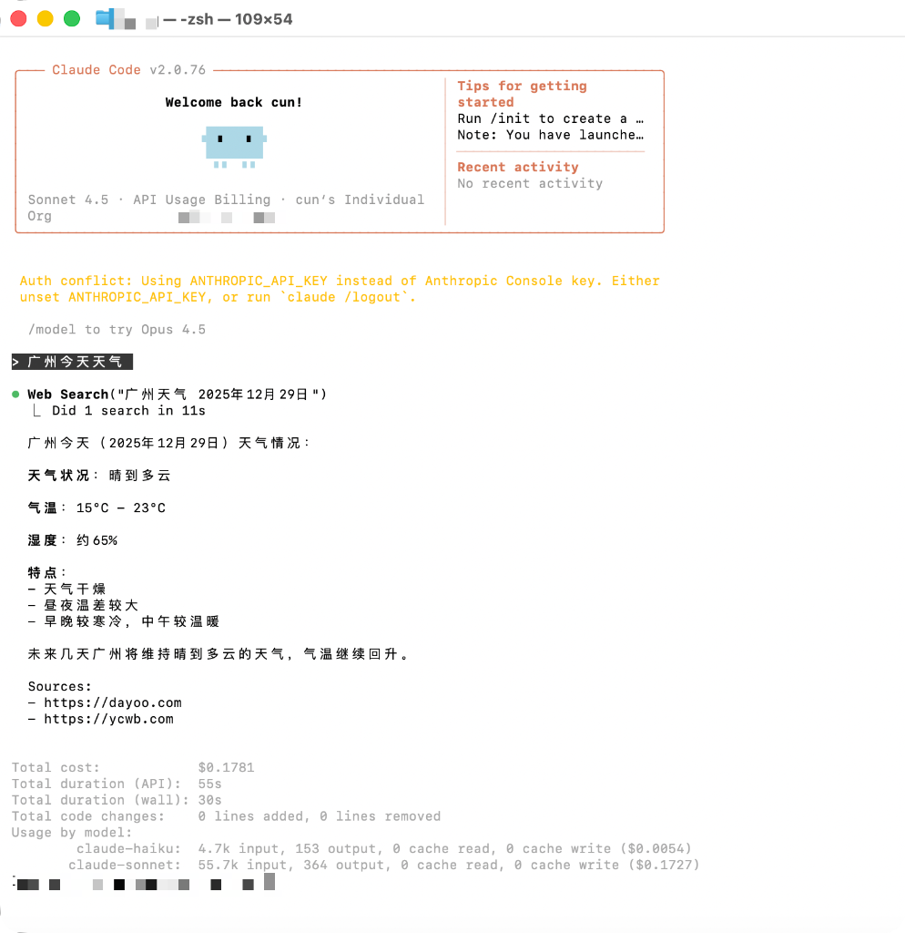Claude Code Web Search - Structured source and citation display