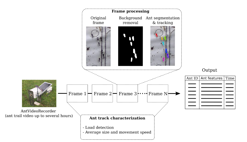 AntTracker pipeline abstract