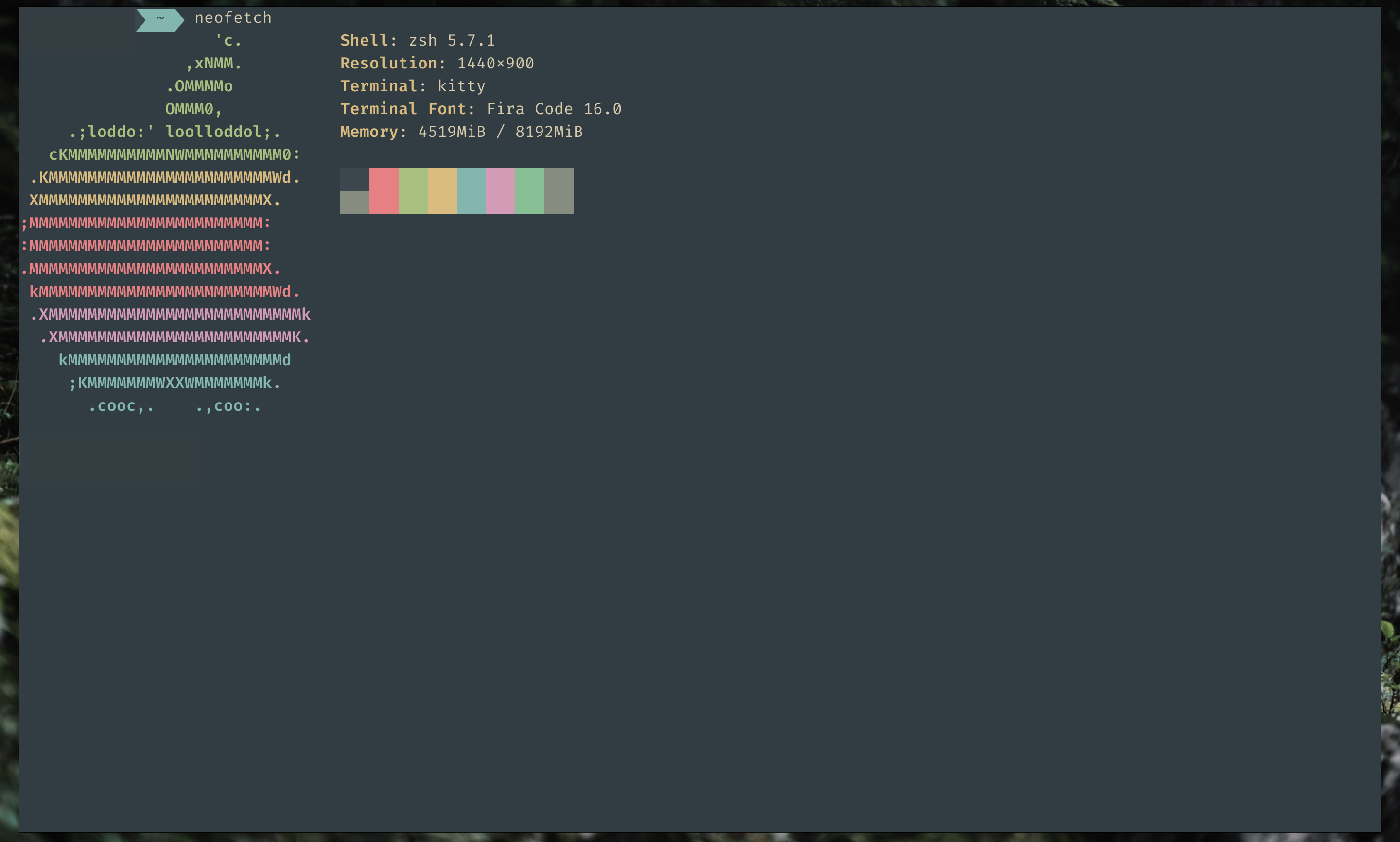 screenshot of theme applied to terminal