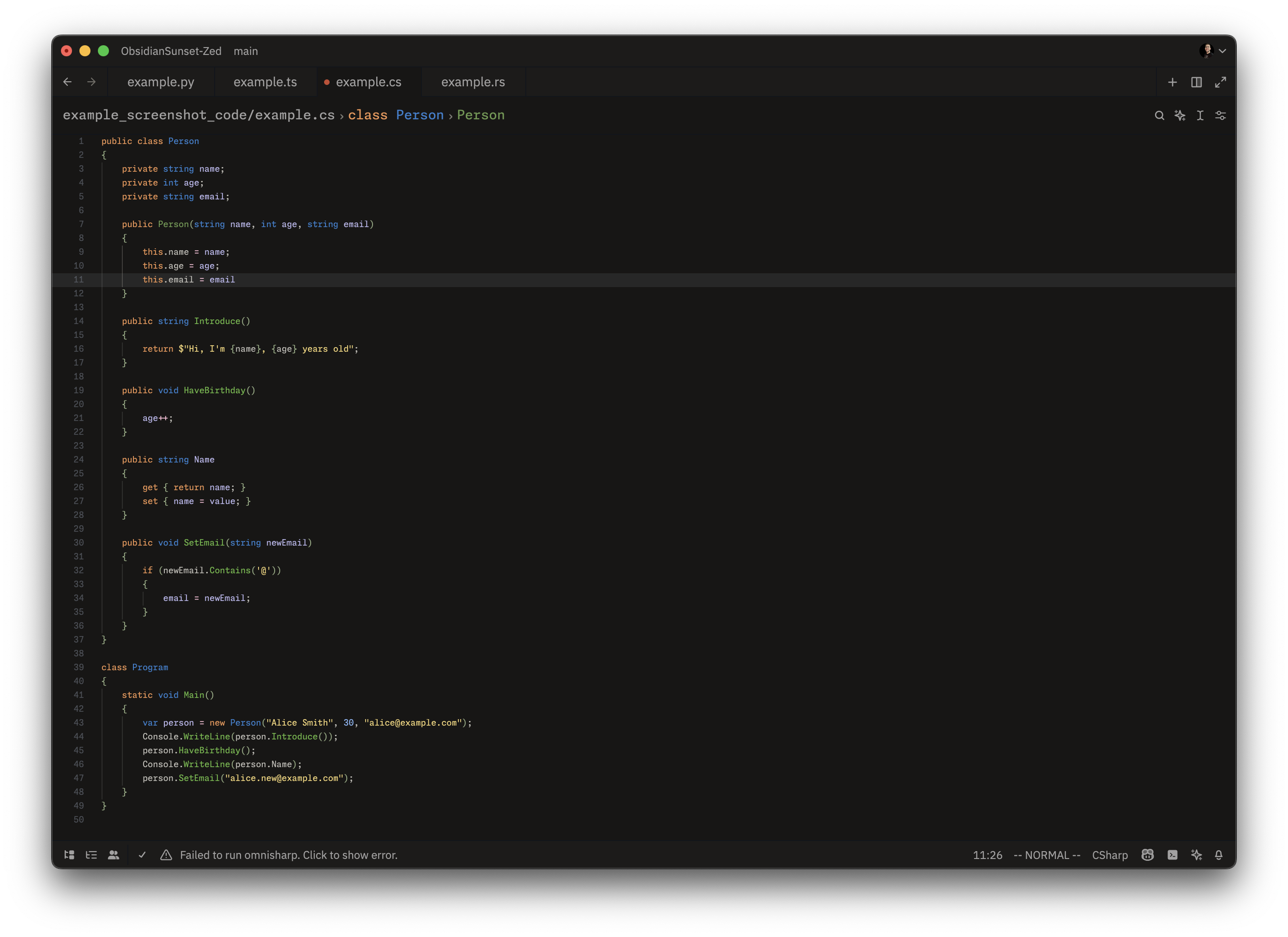 Screenshot of the theme in C#