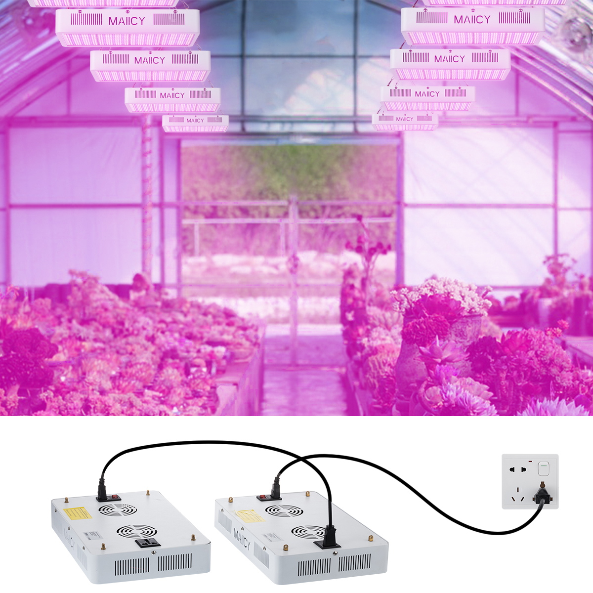 Some models of GoldenBuds LED grow gights support Daisy Chain connection