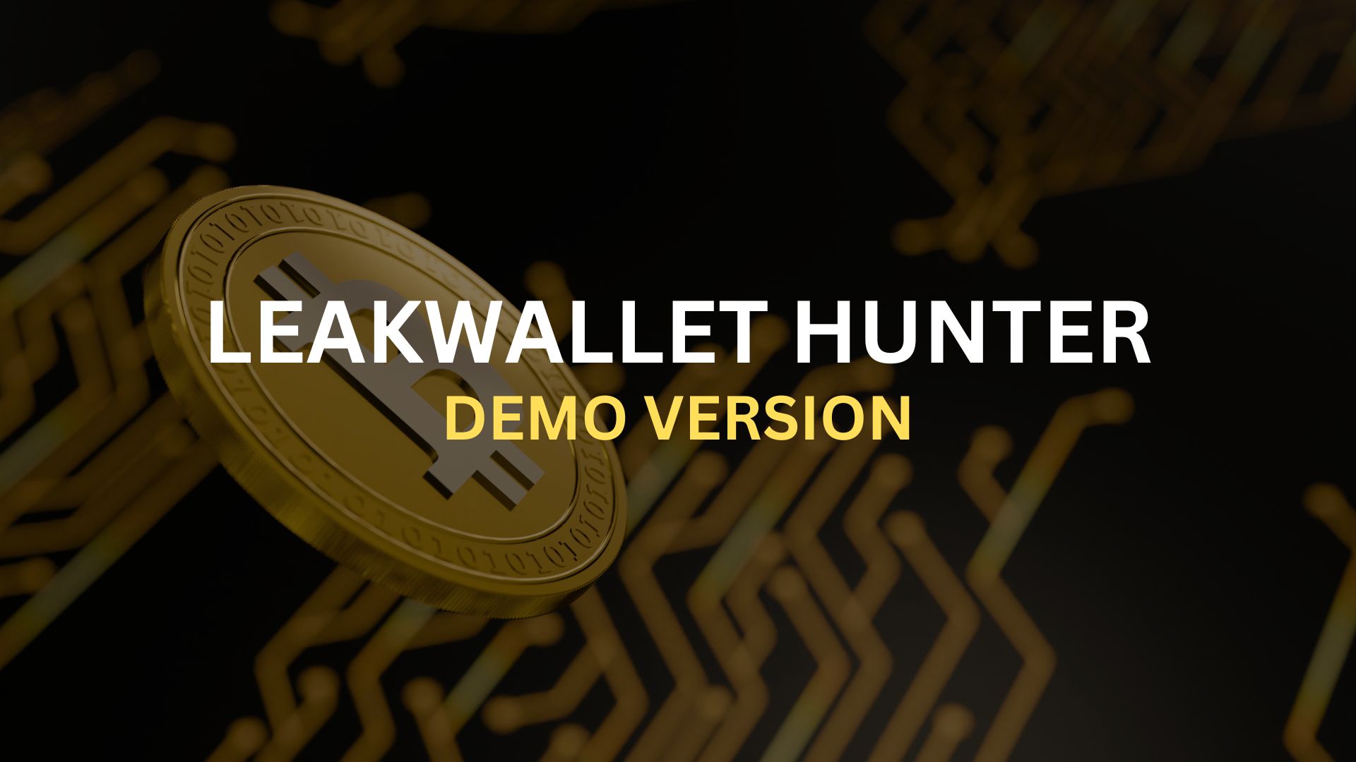 LeakWallet Hunter Demo