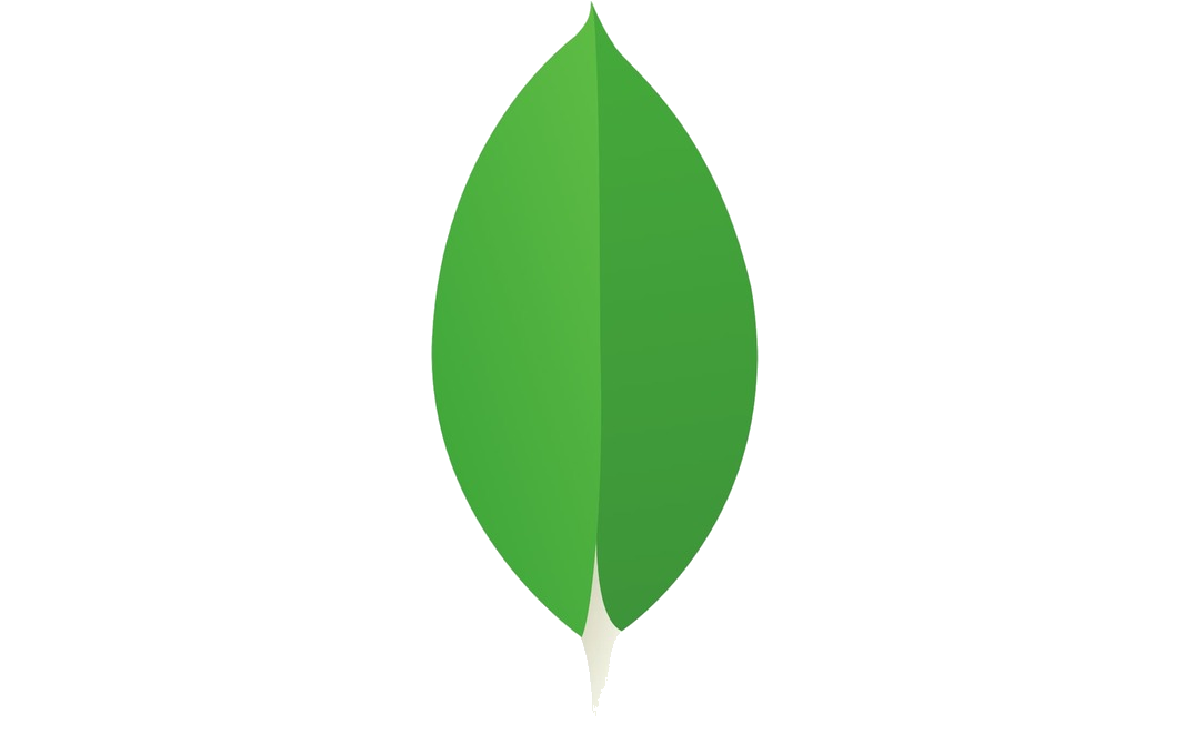 mongoDB