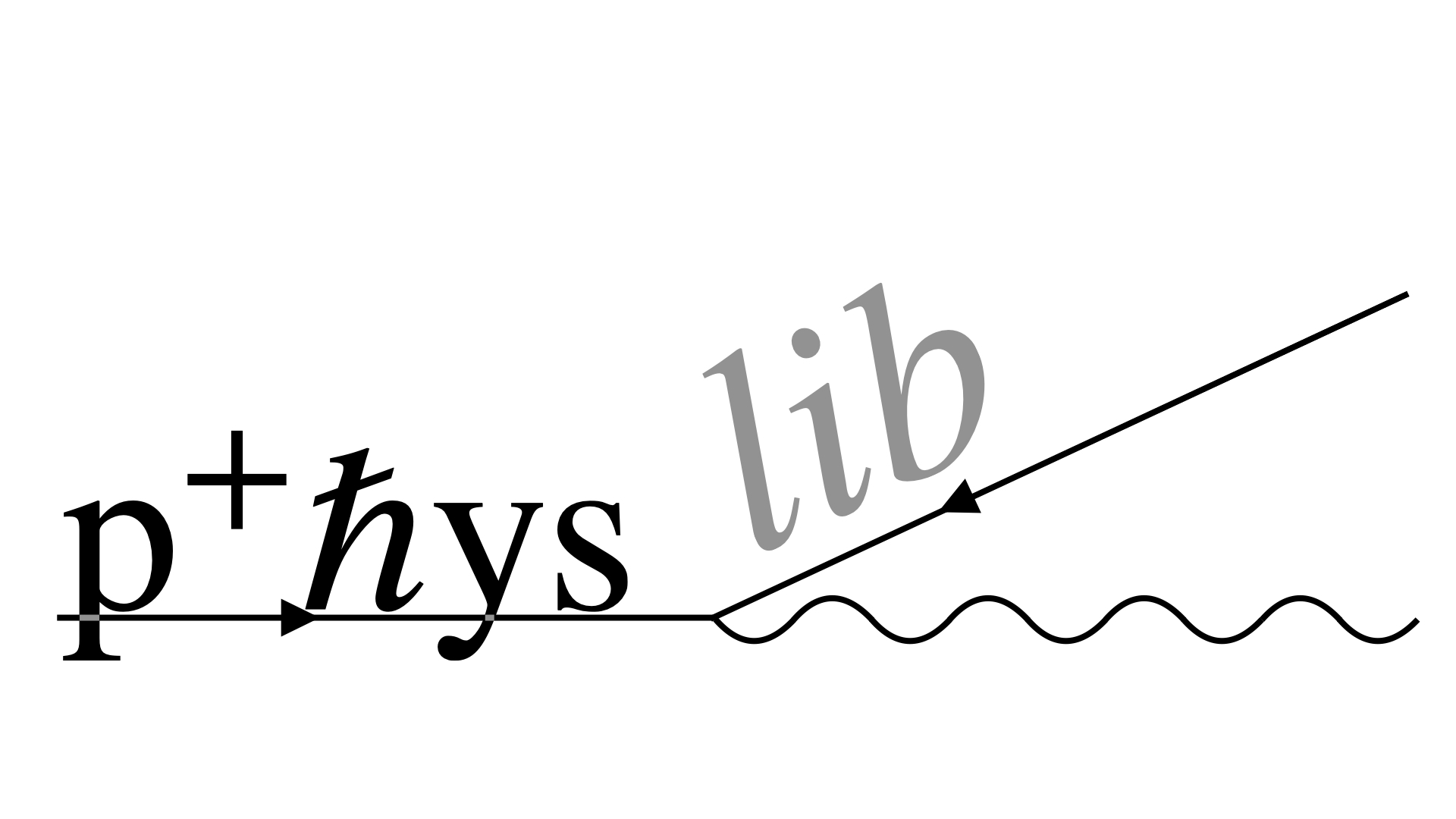 Physlib logo