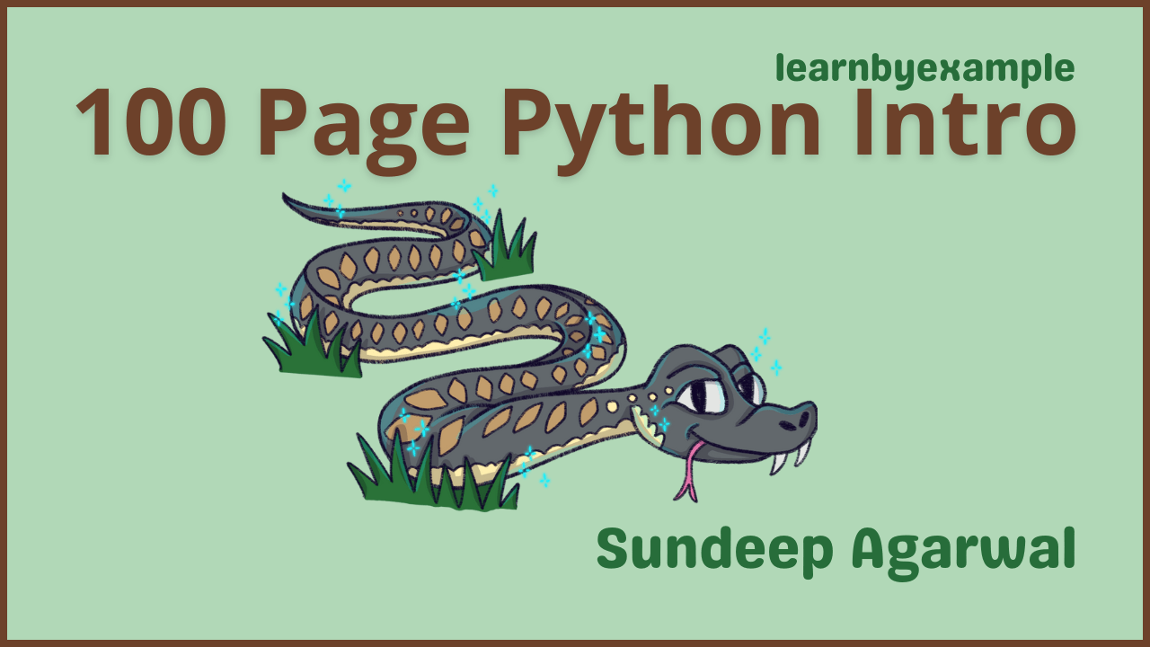 100 Page Python Intro cover image