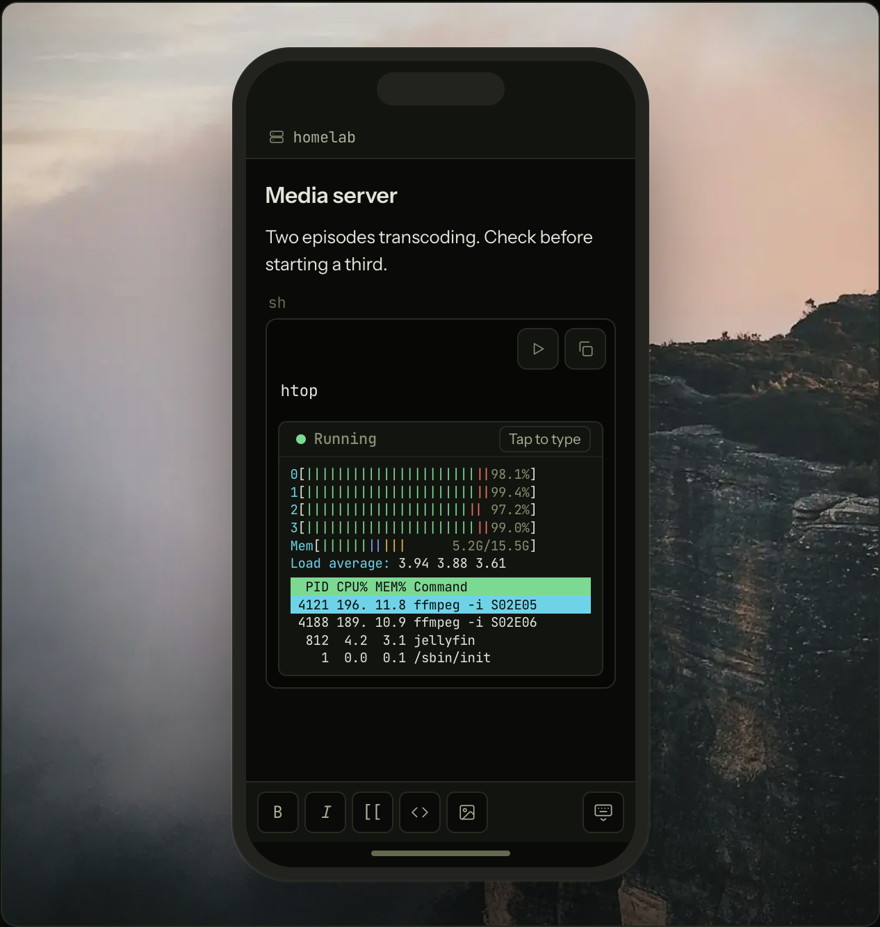 A homelab's notes on an iPhone, htop running from a block on the media server