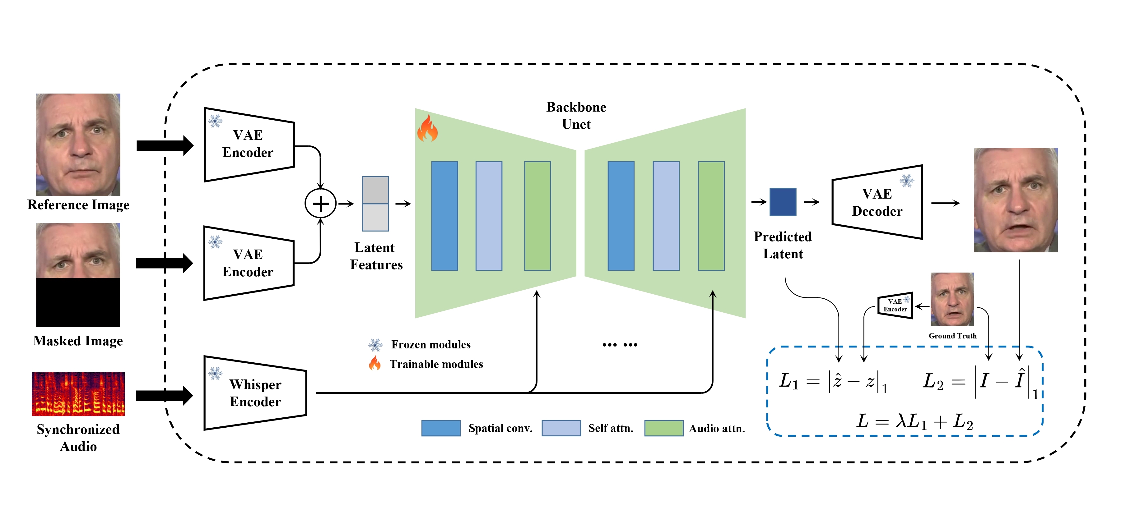 Model Structure