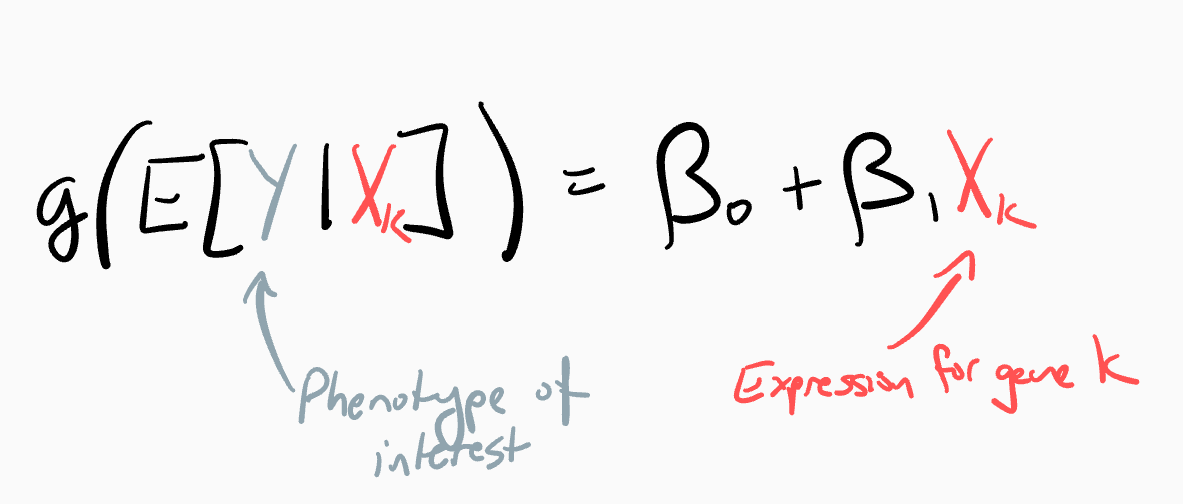 Inference model using observed outcome y