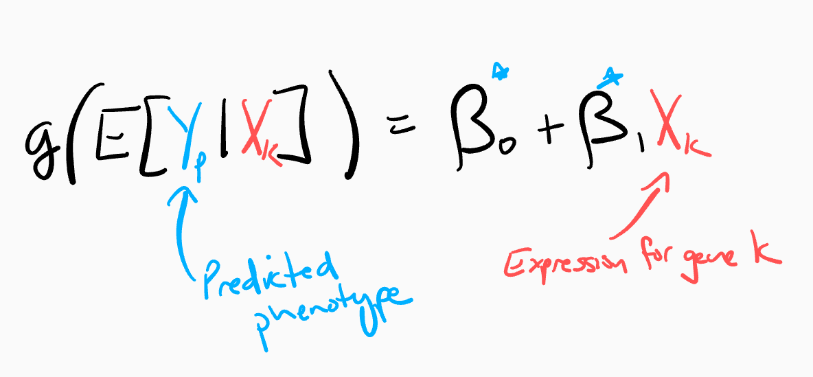 Inference model using predicted outcome y