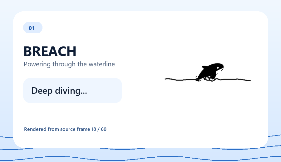 The whale breaching the waterline