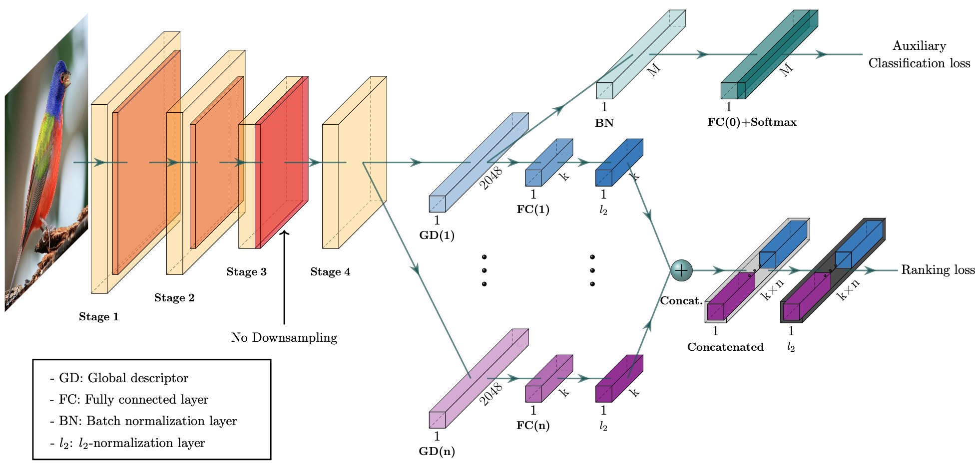 Network Architecture image from the paper
