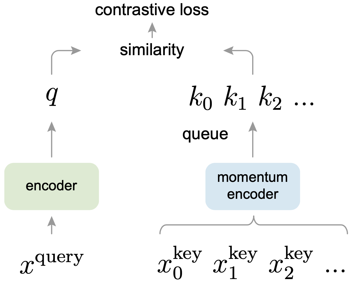 Network Architecture image from the paper