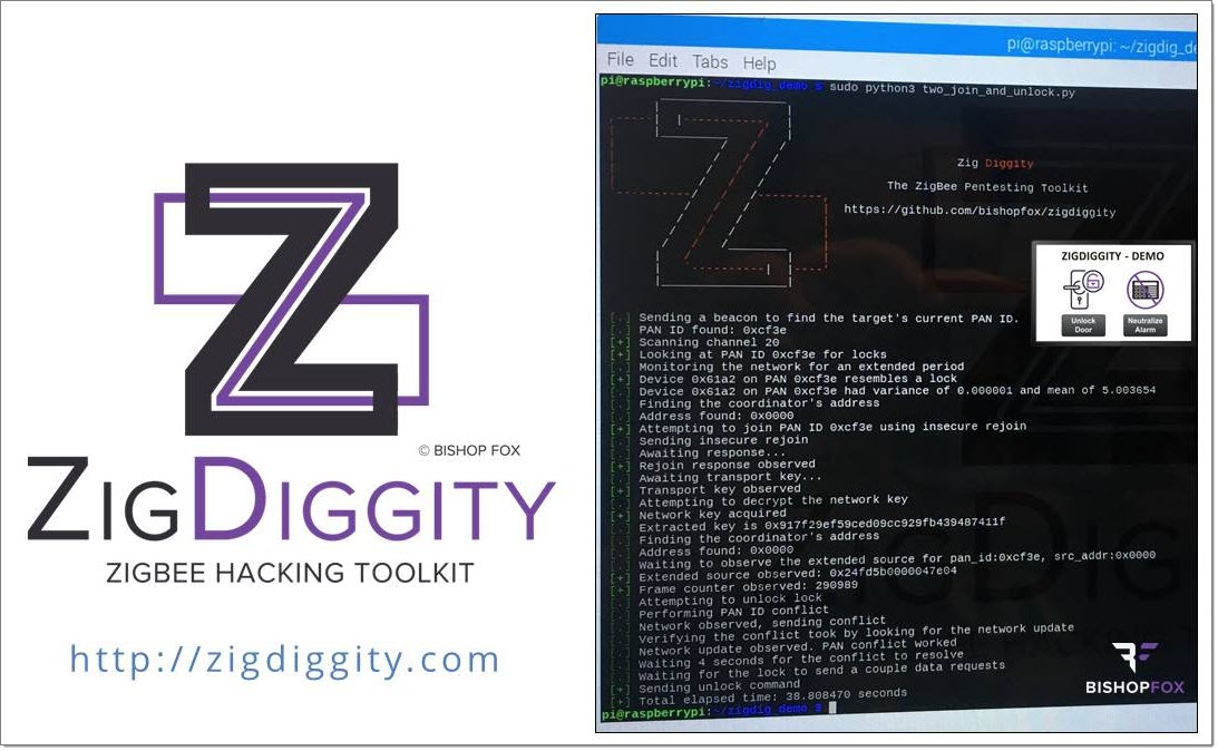 ZigDiggity - Logo