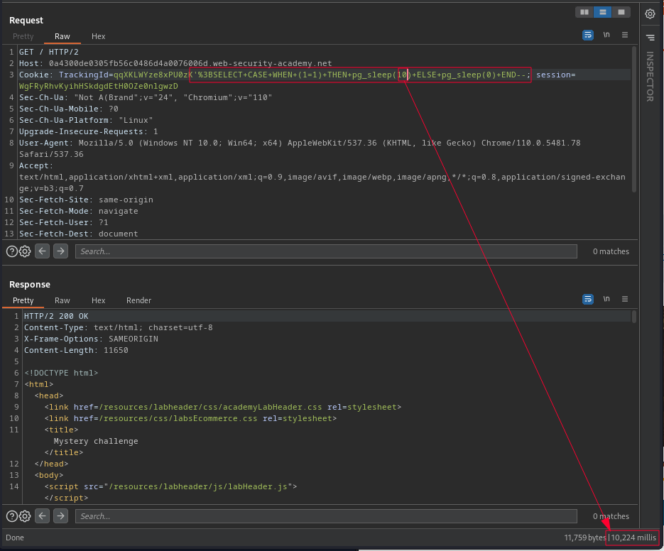 blind-time-delay SQLi