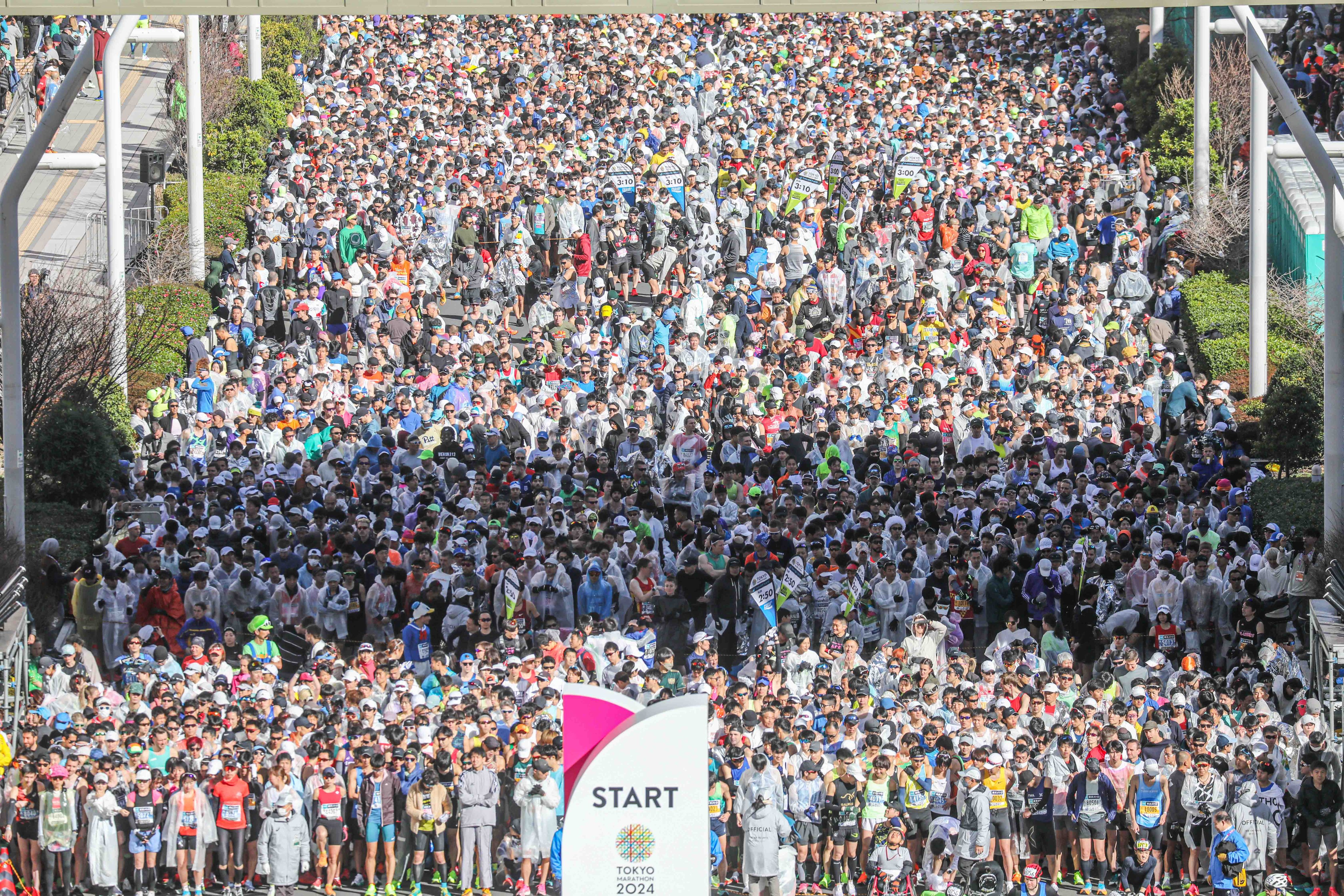 Tokyo Marathon Start Line