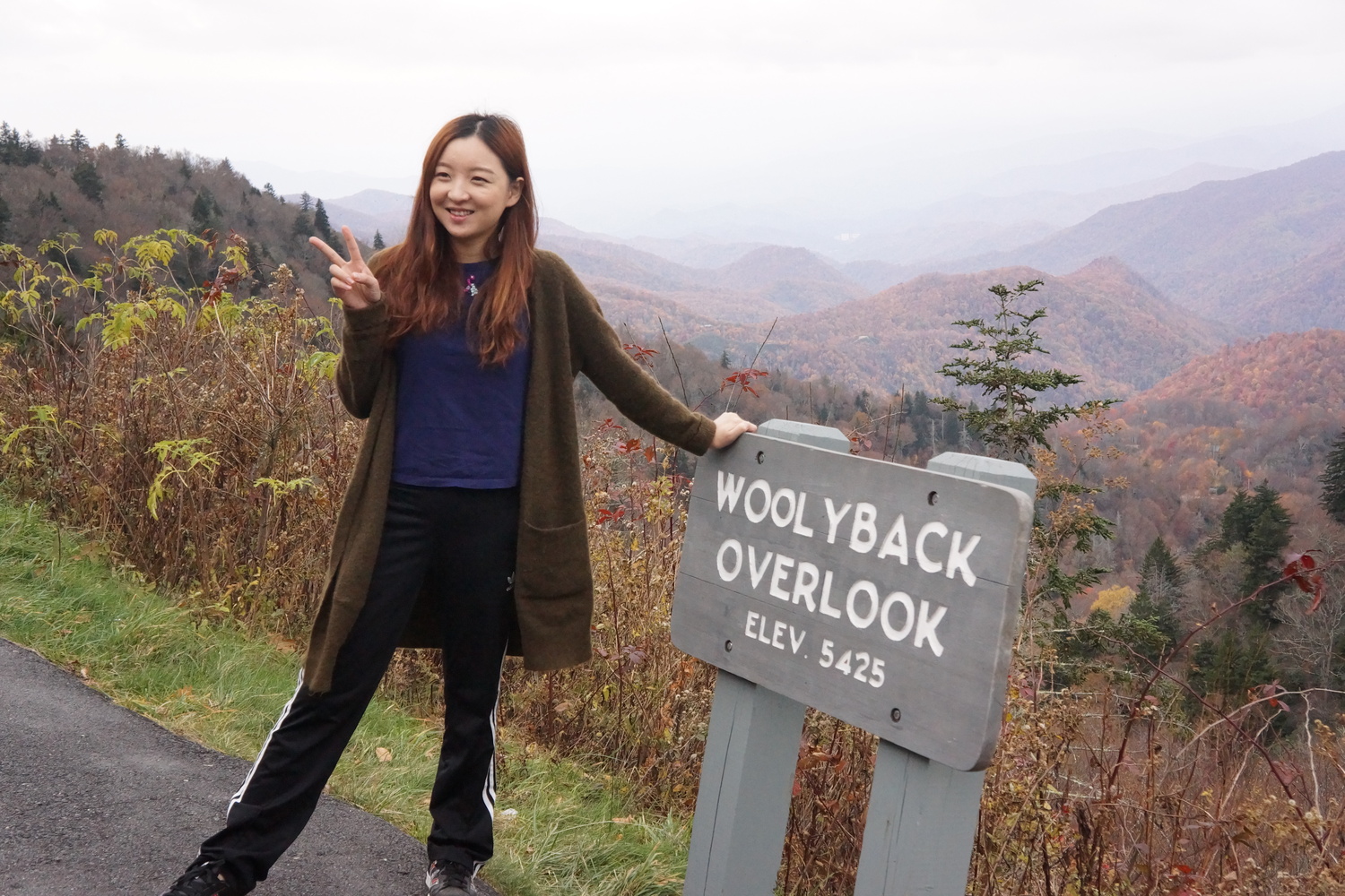 Woolyback Overlook