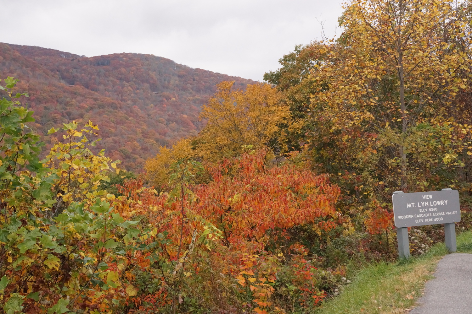 Woolyback Overlook